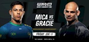 wno_28_bjj_noticias_mica_galvao